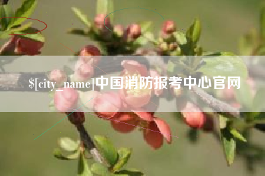 高平中国消防报考中心官网