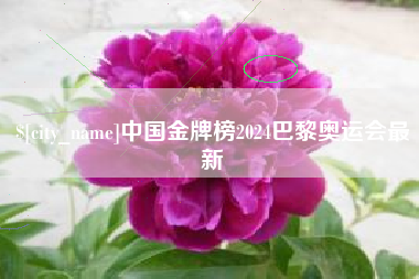高平中国金牌榜2024巴黎奥运会最新