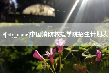 高平中国消防救援学院招生计划表