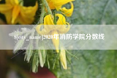 高平2020年消防学院分数线