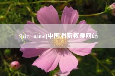 高平中国消防救援网站
