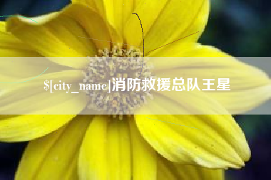 高平消防救援总队王星