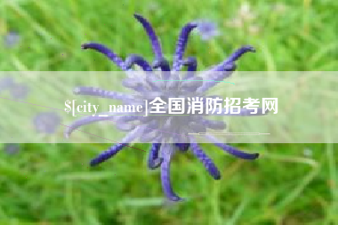 高平全国消防招考网