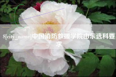 高平中国消防救援学院山东选科要求