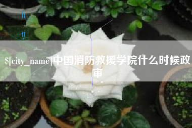 高平中国消防救援学院什么时候政审