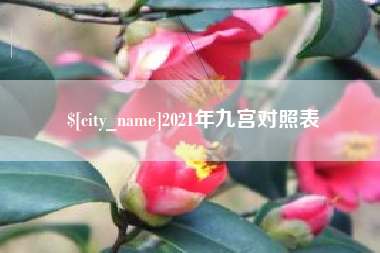 高平2021年九宫对照表