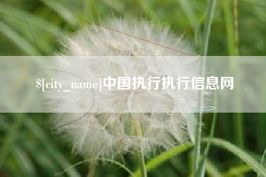高平中国执行执行信息网