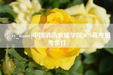高平中国消防救援学院2020高考报考条件