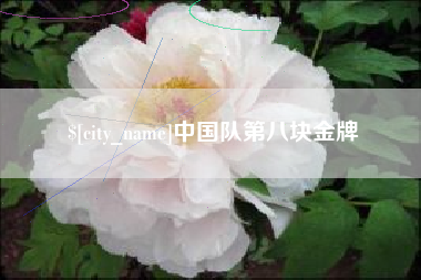 高平中国队第八块金牌