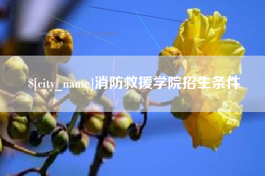 高平消防救援学院招生条件