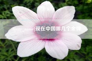 高平现在中国哪几个金牌