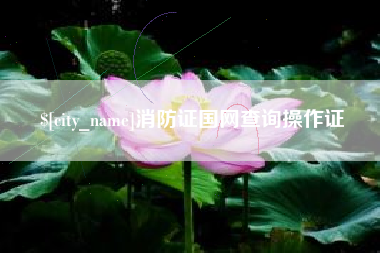 高平消防证国网查询操作证