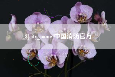 高平中国消防官方