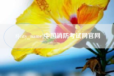 高平中国消防考试网官网