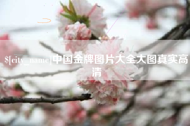高平中国金牌图片大全大图真实高清
