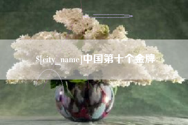 高平中国第十个金牌