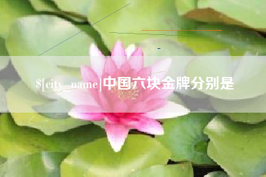 高平中国六块金牌分别是