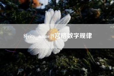 高平9宫格数字规律