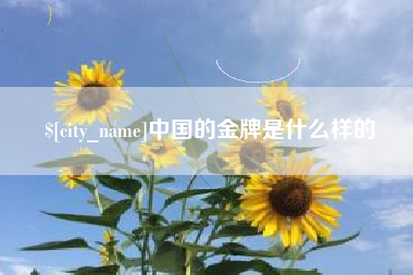高平中国的金牌是什么样的
