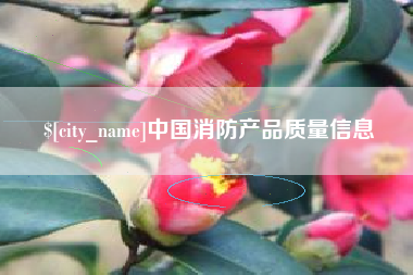 高平中国消防产品质量信息