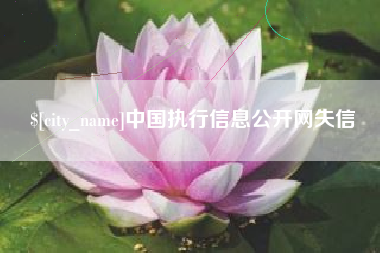 高平中国执行信息公开网失信