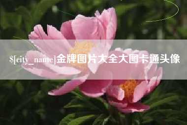 高平金牌图片大全大图卡通头像