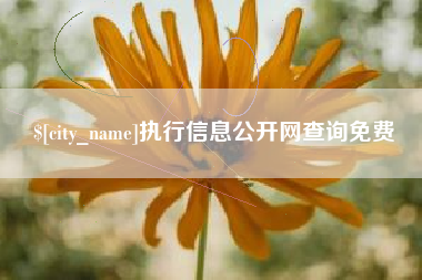高平执行信息公开网查询免费