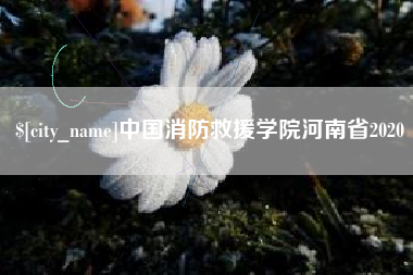 高平中国消防救援学院河南省2020